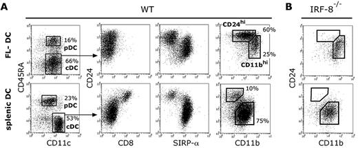 FIGURE 1. Surface markers on FL and spleen DC subsets in WT and IRF8−/− mice. A, FL cultures (which yielded 50 × 106 DC per mouse BM) and splenic DC (5 × 106 DC recovered per mouse spleen) from WT mice were stained with the indicated combinations of surface markers and analyzed by flow cytometry. B, IRF8−/− FL-DC and splenic DC were stained for similar surface markers. Analysis is representative of two to three individual experiments.