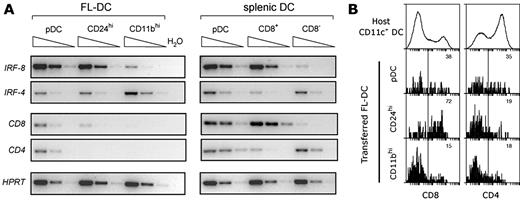 FIGURE 2. IRF, CD4, and CD8α expression. A, IRF-4 and IRF-8, CD4 and CD8 mRNA expression levels were detected by semiquantitative PCR among the FL and spleen DC subsets. B, Ly5.2 pDC, CD24high and CD11bhigh FL-DC were sorted to high purity and injected i.v. into nonirradiated Ly5.1 recipients. Three days later, recipient splenic DC were enriched and assessed for indicated markers on both host and donor-derived DC. Results are representative of two to three independent experiments.