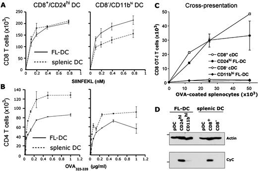 FIGURE 3. T cell activation, cross-presentation and CyC expression. A total of 5 × 103 sorted FL-DC or splenic DC subsets were incubated in duplicate with varying concentrations of peptide SIINFEKL for 45 min, and then washed (A), or OVA323–339 peptide, before the addition of 5 × 104 CFSE-labeled OT-I or OT-II T cells (B). C, Varying numbers of OVA protein-coated bm1 splenocytes were incubated with 2.5 × 104 sorted DC subsets and 5 × 104 OT-I. Divided OT-I cells were quantitated after 60 h in each case. D, Equal numbers of each DC subset were sorted, and a Western blot was performed against CyC and actin. Results are representatives of two to three individual experiments.
