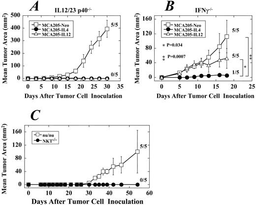 FIGURE 2. Neither IL-12/23 p40, IFN-γ, nor NKT cells are required for the efficacy of IL-4 GT; however, long-term, antitumor protection requires intact host T cell immunity. C57BL/6-background IL-12/23p40−/− (A) or IFN-γ −/− (B) mice received s.c. injections with 2 × 105 syngeneic MCA205-Neo (□), MCA205-IL-4 (•), or MCA205-IL-12 cells (▵) (n = 5 per group). C, Athymic (□) or NKT−/− (•) mice were challenged s.c. with 2 × 105 MCA205-IL-4 (n = 5 per group). Tumor growth was monitored as indicated in Materials and Methods. Results are displayed as mean tumor area (square millimeters) + SD for each group. Significance at 95% confidence limits is indicated. Fractions of mice with palpable tumors are indicated for each group. These data are representative of three independent experiments performed.