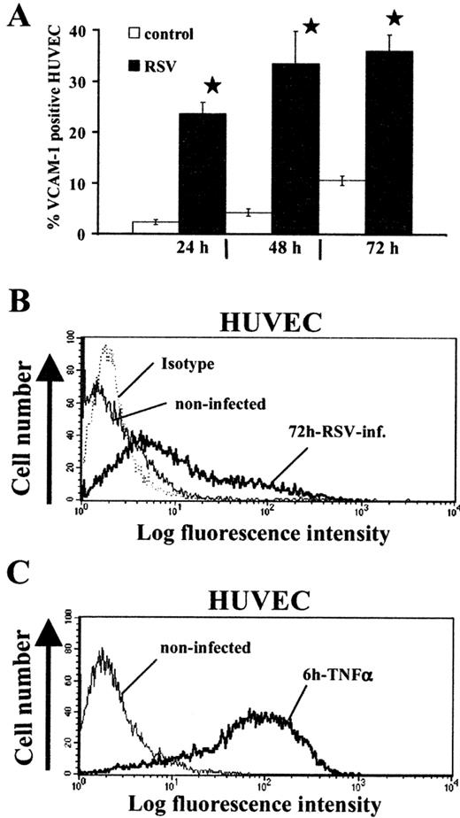 FIGURE 3. VCAM-1 cell surface expression on RSV-infected HUVEC. A, Percentage of VCAM-1-positive HUVEC subsequent to RSV infection (m.o.i. = 5) determined by FACS analysis. Results are means ± SEM (n = 4). Significant differences from sham-infected cells (□) are indicated by ∗, p < 0.01. B, Representative fluorescence overlay histogram showing de novo VCAM-1 expression on HUVEC 72 h subsequent to RSV infection (m.o.i. = 5); IgG1 isotype control (dashed line), constitutive expression of VCAM-1 on cells cultured for 72 h (thin line), RSV-induced VCAM-1 expression (thick line). C, Representative overlay histogram showing de novo VCAM-1 expression on HUVEC stimulated with TNF-α (10 ng/ml); constitutive expression of VCAM-1 after 6 h incubation time (thin line), VCAM-1 expression on HUVEC activated with TNF-α for 6 h (thick line).