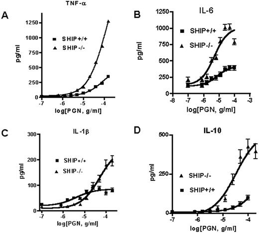 FIGURE 3. Enhanced TLR2-induced release of TNF-α, IL-1β, IL-6, and IL-10 by SHIP−/− neutrophils. SHIP−/− and SHIP+/+ neutrophils were cultured for 4 h with increasing concentrations of PGN, and levels of TNF-α (A), IL-6 (B), IL-10 (C), and IL-1β (D) in the culture supernatants were measured. The data shown are representative of three independent experiments. Means ± SEM are presented.