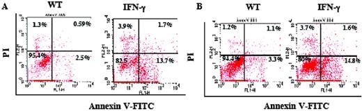 FIGURE 2. Dual annexin V and PI staining. Apoptosis and necrosis were evaluated with annexin V and PI staining of total lung cells (A) and alveolar type II cells (B) isolated from WT and transgene (+) mice on dox water for 4 wk. The experiments in these panels are representative of the results obtained in four similar evaluations.