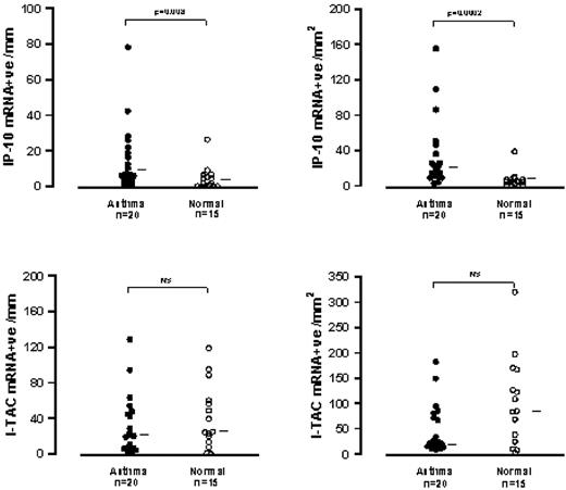 FIGURE 4. Numbers of cells expressing mRNA encoding the Th1-type chemokines IP-10/CXCL10 (top row) and I-TAC/CXCL11 (bottom row) in the epithelium and submucosa of bronchial biopsies from asthma and normal controls.