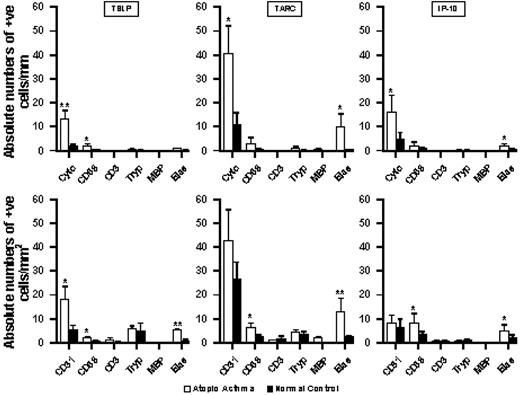 FIGURE 5. Absolute numbers of cells of stated phenotypes (Cyto, cytokeratin+ epithelial cell; CD31, endothelial cell; CD68, macrophage; CD3, T cell; Tryp, tryptase+ mast cell; MBP, MBP+ eosinophil; Elas, elastase+ neutrophil) expressing mRNA for TSLP, TARC/CCL17, and IP-10/CXCL10 in the epithelium (positive cells/mm length of basement membrane; top row) and submucosa (positive cells/mm2 of submucosa; bottom row) of bronchial biopsies from atopic asthmatics and normal controls (in each group, n = 6). ∗∗, p < 0.01; ∗, p < 0.05 (vs normal controls).