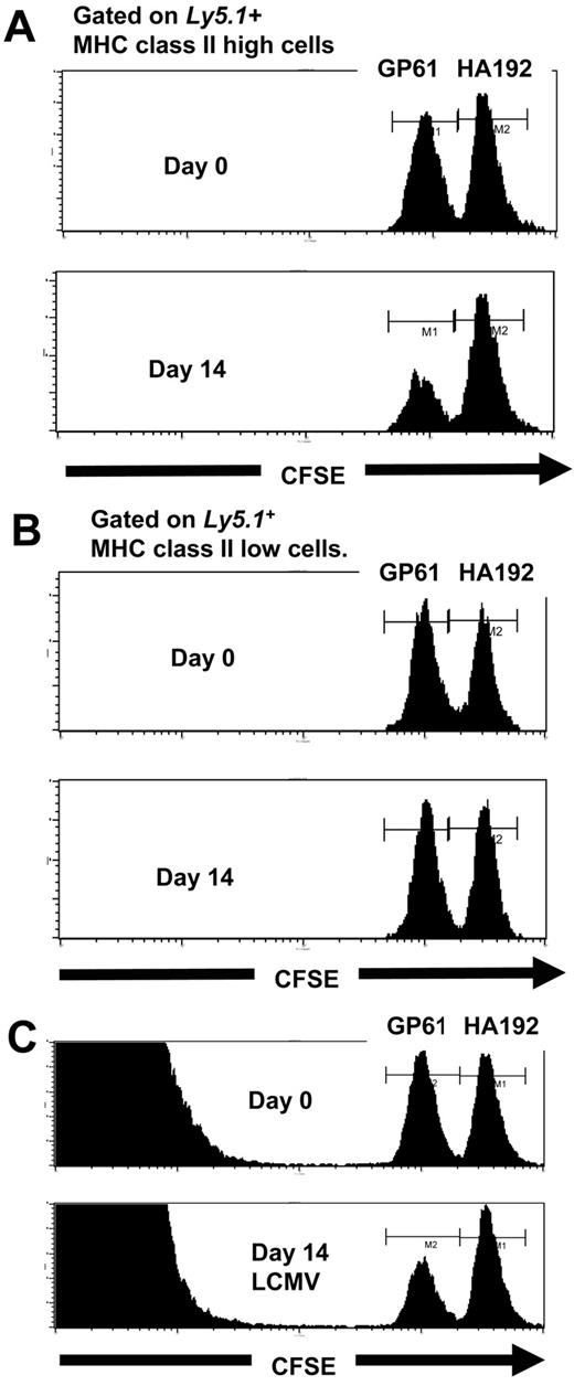 FIGURE 1. MHC class II-restricted killing shown by in vivo cytotoxicity assay. Mice were injected with CFSE-labeled targets coated with either LCMV GP61or influenza HA192 I-Ab-restricted peptides. A and B (method 1), Ly5.1 donor cells in a naive or day 14 LCMV-infected C57BL/6 host. A, Histograms are gated on MHC class IIhigh cells. B, Histograms are gated on MHC class IIlow cells. C (method 2), αβ T cell KO donor cells in a naive or day 14 LCMV-infected C57BL/6 host. These are representative figures from the data listed in Table I, A–C.