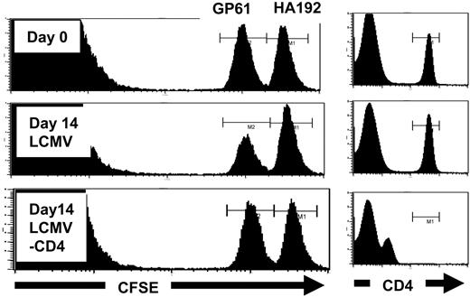FIGURE 2. Depletion of CD4+ T cells by treatment with GK1.5 ablates MHC class II-restricted killing. A, αβ T cell KO donor cells in naive or day 14 LCMV-infected hosts treated with either PBS or anti-CD4 (GK1.5) Ab. Values of p were generated using a paired t test assuming unequal variances comparing experimental animals to naive animals. These are representative figures from the data listed in Table IE.