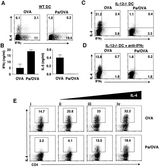 FIGURE 2. TLR-activated DCs fail to support Th2 development. A and B, WT DCs were pulsed with OVA alone or with OVA plus Pa (Pa/OVA) o/n, as indicated, washed, added to purified OTII CD4+ cells, and cultured under neutral conditions without the addition of polarizing cytokines or neutralizing Ab. Six days later, the cultures either were stimulated with PMA and ionomycin in the presence of brefeldin for 4 h, washed, stained for CD4, fixed, permeabilized, stained for IL-4 and IFN-γ, and analyzed by flow cytometry (A) or were restimulated with fresh OVA/DC for 96 h, after which SUPs were collected and analyzed for IL-5 and IFN-γ by ELISA (B). C, Culture conditions and analyses were the same as in A, except DCs were made from IL-12p40−/− mice. D, Culture conditions and analyses were the same as in C, except that neutralizing anti-IFN-γ mAb was added. E, The threshold at which IL-4 is able to promote Th2 cell development is raised when CD4+ cells are stimulated by Pa-activated DCs. OTII CD4+ cells were cocultured with OVA-pulsed DCs or Pa/OVA-pulsed DCs, as indicated, in the absence (i) or the presence (ii–iv) of increasing concentrations of exogenous IL-4. Neutralizing Ab specific for IL-12 and IFN-γ were included in all cultures. After 6 days, cells were stimulated with PMA and ionomycin in the presence of brefeldin, stained for surface CD4 and intracellular IL-4, and analyzed by flow cytometry. IL-4 in CD4+ cells is shown. The gradient of IL-4 reflects the addition of 0.2 ng/ml (ii), 1 ng/ml (iii), and 5 ng/ml (iv) IL-4 to the cultures. B, Means and SDs of independent measurements of cytokine levels are shown. A, C, D, and E, The numbers show the percentages of total CD4+ cells. Data are from one experiment, but are typical of those obtained from at least two additional experiments.