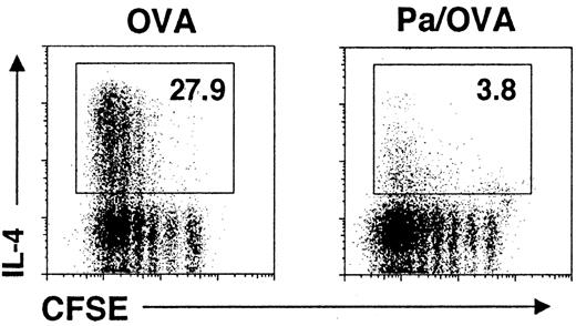 FIGURE 3. Failure of Th2 cell development, but not of T cell proliferation, when OTII CD4+ cells are activated by Pa/OVA-pulsed IL-12−/− DCs in the presence of anti-IFN-γ. Purified OTII CD4+ cells were labeled with CFSE and cocultured with OVA- or Pa/OVA-pulsed IL-12−/− DCs, as indicated, in the presence of anti-IFN-γ for 6 days. Cells were then stimulated with PMA, ionomycin, and brefeldin; stained for surface CD4 and intracellular IL-4; and analyzed by flow cytometry. IL-4 and CFSE in gated CD4+ cells are shown. The numbers show the percentages of CD4+ cells that made IL-4. Data are from one experiment and are typical of those obtained from two additional experiments.
