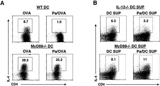 FIGURE 8. TLR-mediated activation of DCs to inhibit Th2 cell development is MyD88 dependent. A, Purified OTII CD4+ cells were cultured with OVA- or Pa/OVA-pulsed WT or MyD88−/−DCs without the addition of Ab or cytokines. B, Purified OTII CD4+ cells were stimulated with anti-CD3 plus anti-CD28 in the presence of DC SUP or Pa/DC SUP collected from IL-12−/− or MyD88−/− DC cultures, as indicated. After 5–6 days, cells were restimulated with PMA and ionomycin in the presence of brefeldin, stained for surface CD4 and intracellular IL-4, and analyzed by flow cytometry. The numbers show the percentages of CD4+ that made IL-4. Data are from one experiment using DCs generated from B6 mice and are similar to those from two additional experiments using B6/129 mice.