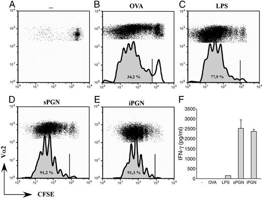 FIGURE 7. PGN stimulates Ag-specific T cell proliferation and Th1 cell polarization. Immature DC were not stimulated (A) or stimulated with OVA (B) combined with LPS (C), sPGN (D), or iPGN (E) for 24 h. OVA323–339 TCR transgenic CD4+ T cells were incubated with all DC populations. A–E, After 6 days of culture, OVA323–339-specific T cell proliferation was assessed by flow cytometry using CFSE. F, Supernatants were harvested, and production of IFN-γ was determined by ELISA. Percentages indicate the number of divided OVA323–339 CD4+ T cells. Histograms represent the number of cell divisions.