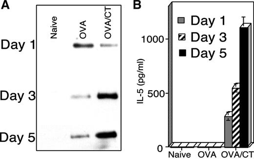 FIGURE 2. CT induces Th cells in the lung draining lymph nodes with a Th2 phenotype. Animals were given three daily consecutive intranasal treatments with OVA alone or combined with CT. Naive animals were age-matched but received no treatments. One, 3, and 5 days after the last treatment, the lymph nodes were harvested and CD4 T cells were purified. The cells were stimulated in vitro with whole OVA presented by naive spleen DCs for 5 days, at which time the cells were harvested for examination of GATA-3 expression by immunoblotting (A) and analysis of IL-5 expression in the culture supernatant by ELISA (B). Data are representative of at least three independent experiments.