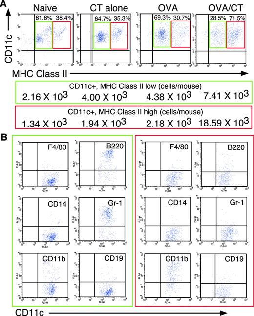 FIGURE 4. Flow cytometric analysis of lung draining lymph node DCs. DCs were isolated from naive animals and those treated with CT alone, OVA, or OVA plus CT. A, Expression of MHC class II and CD11c revealing two populations of DCs (MHC class IIhigh and MHC class IIlow) with the proportions of each indicated. Each dot plot contains ∼1000 events. Using total DC cell counts and these percentages, the number of each DC type was calculated in the four groups of animals and the numbers are presented under the corresponding dot plot. They are divided into two groups which are CD11c+MHC class IIlow (green box) and CD11c+MHC class IIhigh (red box). B, Expression of the indicated cell surface markers on CDllc+MHC class IIlow DCs (green box) and CD11c+MHC class IIhigh DCs (red box). In all cases, the positioning of the quadrants was determined using staining with appropriate isotype control Abs. Data are representative of at least three independent experiments.