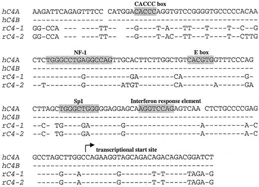 The Rat Expresses Two Complement Factor C4 Proteins, but Only One ...