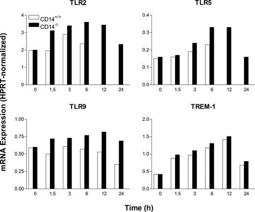 FIGURE 7. CD14 deficiency alters the kinetics of B. burgdorferi-induced tlr gene transcription. WT and CD14 KO mice received an i.p. injection of 1 × 107 B. burgdorferi. Sham-inoculated mice (0) received medium alone. At the indicated times, PECs were isolated. Total RNA was purified and subjected to RT-PCR analysis to determine receptor transcript levels. The data are representative of three independent experiments.