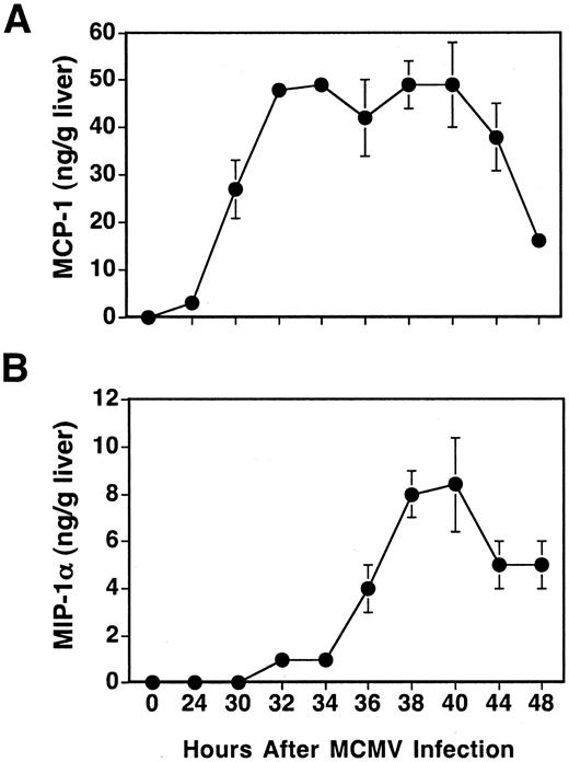 FIGURE 1. Kinetics of MCP-1 and MIP-1α during MCMV infection in liver. Liver homogenates were prepared from 129 mice that were uninfected or infected with MCMV at the indicated time points. MCP-1 (A) and MIP-1α (B) protein levels were measured by standard sandwich ELISA. The levels of detection for MCP-1 and MIP-1α were 0.08 and 0.02 ng/g of liver, respectively. Data are the means ± SE (n = 3–4 mice tested individually for each time point). Results are representative of one of two experiments with similar results.