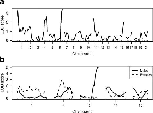 FIGURE 2. Genome-wide scan of F2 individuals with extreme phenotypes reveals two possible loci on Chrs. 1 and 6 controlling susceptibility to EAM. A, F2 offspring (n = 144) displaying susceptibility greater than or equal to the mean A.SW phenotype (percentage of myocarditis, >26.5) and less than or equal to the mean B10.S phenotype (percentage of myocarditis, <4.5) were selected for genomic analysis through determination of the inheritance pattern of A.SW and B10.S alleles of 81 SSLP markers distributed throughout the murine genome. The phenotype was treated as a binary trait—resistant or susceptible. LOD scores achieved at each of the 81 loci representing the entire murine genome are shown for each chromosome, ordered from centromere (left) to telomere (right). Linkage to loci on Chr. 1 (LOD = 3.26; p = 0.08) and Chr. 6 (LOD = 3.26; p = 0.06) were nearly statistically significant. Loci on Chr. 4, 11, and 15 had LOD scores >2, but gave genome-wide p values of >0.25. B, Closer inspection of the most significant linkage, distal Chr. 6, revealed that there was a significant gender difference in inheritance of susceptibility. LOD scores are displayed for each of the loci and determined separately for male and female mice. The locus on Chr. 6 appeared to have effect in only the males. Recalculation of the LOD score for Chr. 6, for the analysis of the males only, was 4.99, with a genome-wide p value of 0.002.