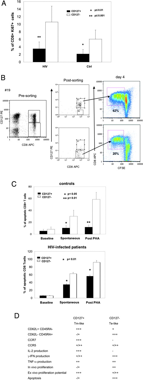 FIGURE 4. CD8+CD127− T cells show increased levels of in vivo proliferation, but decreased ex vivo proliferative potential and increased susceptibility to apoptosis. A, Expression of the proliferation marker Ki-67 on CD8+CD127+ (▪) and CD8+CD127− (□) in 31 HIV-infected patients (left) and 10 healthy controls (right). B, Efficiency of ex vivo proliferation after PHA treatment (4 days) in sorted CD8+CD127+ (top dot plots) and CD8+CD127− (bottom dot plots) T cells from an uninfected donor. Data are representative of seven experiments. C, Levels of baseline (i.e., before culture), spontaneous (i.e., medium alone), and PHA-induced apoptosis measured as a percentage of annexin V-positive cells in CD8+CD127+ (▪) and CD8+CD127− (□) lymphocytes from seven uninfected donors and five HIV-infected patients. D, Summary of phenotypical and functional features of CD8+CD127− (TE-like) and CD8+CD127+ (TN- and TM-like) T cells.