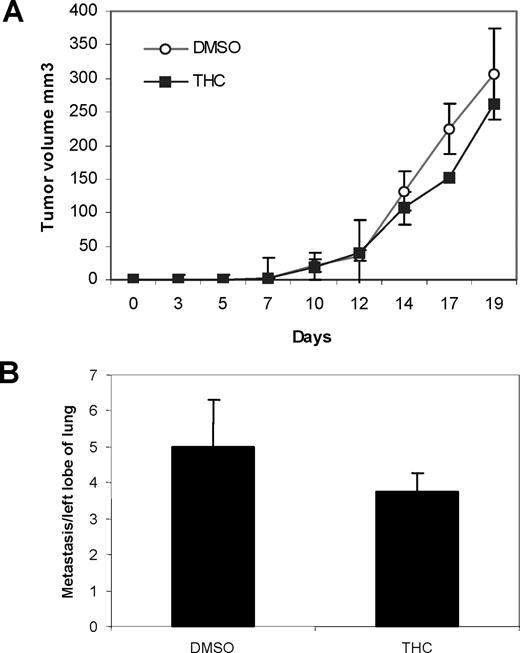 FIGURE 3. The effect of Δ9-THC exposure on 4T1 tumor growth in SCID-NOD mice. SCID-NOD mice were injected s.c. with 3 × 105 4T1 tumor cells. The mice were then treated i.p. with the vehicle control or 25 mg/kg Δ9-THC every other day for 19 days. Local tumor growth (A) and metastasis were recorded (B). The results are representative data of experimental groups containing four mice. The experiment was repeated three times with similar results.