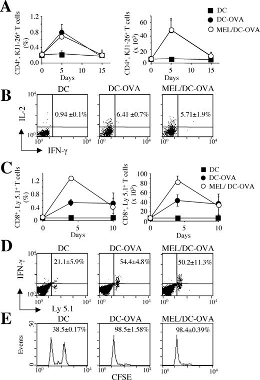 FIGURE 5. MEL does not prevent T cells priming when administered 48 h before vaccination. BALB/c and C57BL/6 mice were adoptively transferred with DO11.10 (A) and OT-I (B) TCR Tg T cells. Twenty-four hours after cell transfer, a group of mice received an i.v. injection of MEL (2.5 mg/kg). After an additional 48 h, mice were immunized with unpulsed (DC) or OVA323–339-pulsed DC (DC-OVA; A and B) or OVAp257–264-pulsed DC (DC-OVA; C–E). LN cells were recovered and analyzed by flow cytometry after staining with anti-CD4 and KJ1-26 mAb (A and B) or with anti-CD8 and anti-Ly-5.1 mAb (C and D). The mean percentages and mean total number ± SD of CD4+, KJ1-26+ T cells and CD8+, Ly-5.1+ T cells derived from three mice per group are reported in A and C, respectively. LN cells were also restimulated in vitro with OVAp, and intracellular cytokine release was determined, as described in Fig. 4 and this figure. Representative dot plot of data obtained at 15 and 10 days after vaccination is depicted (B and D). The frequencies ± SD of IL-2+ (B) and of IFN-γ+ (D) cells within the CD4+, KJ1-26+ T cells and CD8+, Ly-5.1+ population are reported. E, The in vivo OVAp257–264-specific cytotoxic activity of mice vaccinated 10 days before was determined, as described in D. The percentage ± SD of specific lysis is reported. Four independent experiments were performed with comparable results.