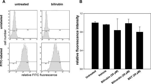 FIGURE 6. Bilirubin does not affect VCAM-1 expression by mHEVc cells. Cell monolayers were incubated for 24 h in the presence or absence of bilirubin, biliverdin, BDT, or the potassium phosphate vehicle, and then subjected to immunofluorescence staining for VCAM-1. A, Representative histograms of VCAM-1 labeling in untreated and bilirubin-treated cells (lower panels). Identically treated cells that were not incubated with the primary Ab (unlabeled) serve as controls (upper panels). Mean fluorescence intensity (± SEM) is plotted relative to untreated cells in B.