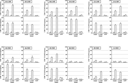 FIGURE 2. Stimulation of hTERT-specific T cell responses. PBMC were obtained at baseline (□) and after three vaccination cycles (▦) from 12 study subjects vaccinated with hTERT- or LAMP hTERT mRNA-transfected DC. IFN-γ ELISPOT analyses were performed from CD4+ and CD8+ T cells isolated from pre- and posttherapy PBMC samples. The hTERT-specific T cell frequencies in each patient were expressed as the number of spot-forming CD4+ or CD8+ T cells per 1 × 105 T cells. Unspecific background averaging three to five spots per well was subtracted.
