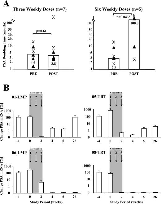 FIGURE 6. Impact of vaccination on PSAdt and circulating tumor cells. A, Serum PSA was measured from 12 evaluable study subjects, and pre- and posttherapy PSAdt time was calculated. Linear regression was used to obtain estimates of the pre- and posttherapy PSAdt of individual study subjects. Comparisons between pre- and postvaccination PSAdt were performed using the Wilcoxon matched-pairs signed rank test. Results from seven eligible patients immunized with three weekly cell doses, and from five subjects vaccinated with six doses of hTERT- (▴) and LAMP hTERT (×) mRNA-transfected DC are depicted. B, Real-time PCR was used to quantitatively assess the kinetics of circulating tumor cells at baseline (wk −4 and 0), during (wk 2, 4, 6) and after vaccination (wk 26) in study patients using primers and probes specific for PSA. PSA mRNA was amplified from total RNA extracted from 1 × 107 PBMC, and the corresponding copy numbers were quantitated and subsequently normalized to those specific for the reference gene β-actin amplified from the same PBMC sample. To further improve the sensitivity of this assay, the average mRNA copy number of each marker amplified from PBMC of 12 age-matched healthy male volunteers (dotted lines) was determined. As exemplified in four subjects (01-LMP; 06-LMP; 05-TRT; 08-TRT), vaccination with hTERT mRNA-transfected DC led to a transient clearance of circulating tumor cells in 9 of 10 subjects who had elevated numbers of PSA-expressing circulating tumor cells before therapy.