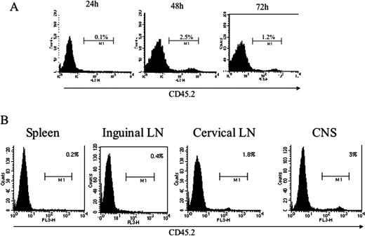 FIGURE 3. During the accelerating phase of disease, Ag-specific T cells selectively accumulate in the CNS and then in the LNs that drain it. Congenic (CD45.2+) Th2 cells and Th1 cells (data not shown) were transferred (5 × 106/rat) to CD45.2− recipients at the onset of EAE (day 10). At different time points (24, 48, and 72 h post T cell transfer), spinal cords were subjected to FACS analysis of CD45.2+ of all CD4+ T cells. A, The level of CD45.2+ of all CD4+ T cells at the CNS at different time points. In another experiment, done under the same experimental conditions (B), animals were sacrificed 48 h after cell transfer, and spinal cords, spleens, inguinal LN, and cervical LN were subjected to FACS analysis comparing the ratio of CD45.2+ of all CD4+ T cells in these organs. Similar results were obtained using our CD45.2+ Th1 line (data not shown). Representative data of one of three independent experiments are presented in this figure.