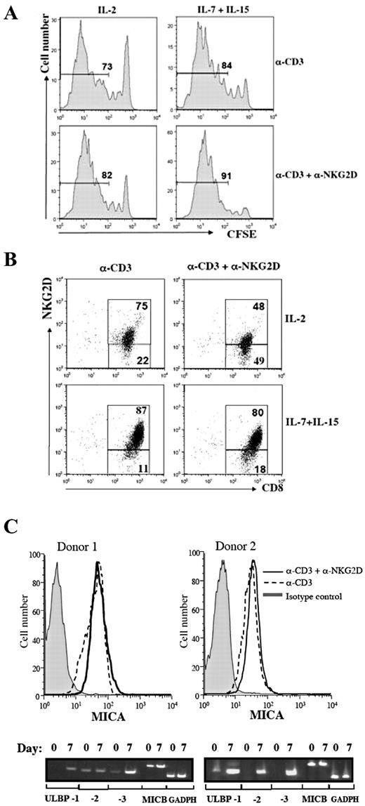 FIGURE 4. Role of IL-7 and IL-15 in NKG2D mediated costimulation and induction of NKG2D ligands. A, Human naive CD8+ T cells were cultured in vitro as they were in Fig. 2B. Upon transfer of cells to noncoated wells at day 3, IL-2 or IL-7+IL-15 were added to the wells. On day 7, cells were analyzed for CFSE dilution. The percentage of cells that have divided 3 or more times is indicated. B, Percentage of NKG2D positive CD8+ T cells after 7 days of culture with IL-2 or IL-7+IL-15. Results are representative of 5 experiments. C, MICA expression by cultured cells in the presence of IL-7+IL-15 at day 7 as determined by flow cytometric analysis and for MICB, ULBP-1, −2 and −3 by RT-PCR.