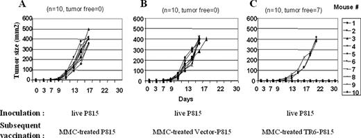 FIGURE 6. TR6-P815 cells were effective as a therapeutic tumor vaccine. DBA/2 mice were inoculated with 5 × 104 live parental P815 cells s.c. on the left flank. On days 3 and 8, 5 × 106 MMC-treated P815-TR6 cells were inoculated on the right flank as a therapeutic vaccine. Parental P815 or vector-P815 cells were used as controls. Differences between the TR6-P815 vs the P815 and the TR6-P815 vs the vector-P815 groups were highly significant (one-way ANOVA followed by all pair-wise multiple comparison (Tukey test), p < 0.001 in both comparisons).
