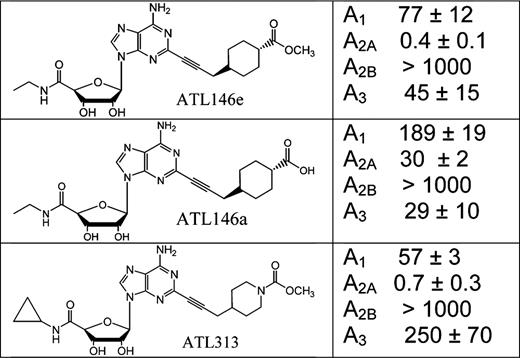 Binding affinities of ATL146e, ATL146a, and ATL313 for recombinant human adenosine receptor subtypesa