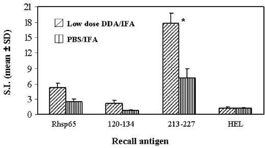 FIGURE 7. The T cell response to Rhsp65 and its peptides in LEW rats pretreated with a nonarthritogenic low dose of DDA. LEW rats (n = 4) were immunized with either PBS/IFA or a low dose (0.1 mg/rat) of DDA. After 7 days, the draining LNC of these rats were harvested and tested (2 × 105/well) in a proliferation assay using the indicated Ags. HEL was used as irrelevant Ag control. The SI value for peptide 213–227 in low dose DDA/IFA group was significantly higher (p < 0.05) than that of PBS/IFA group. The SI value for Con A was 88. The cpm values for the medium control were 1558 for the low dose DDA/IFA group and 1033 for the PBS/IFA group.