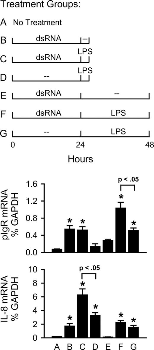 FIGURE 8. Effects of pretreatment with dsRNA on subsequent gene activation by LPS. HT29 cells were cultured for 24 h in the presence or absence of poly I:C (100 μg/ml), washed, then cultured for an additional 3 or 24 h in the presence or absence of LPS (1 μg/ml) (treatment groups A-G). mRNA levels were measured by real-time RT-PCR and normalized to GAPDH mRNA. Data were pooled from three independent experiments, and are expressed as mean ± SEM (n = 11). Asterisks (∗) indicate that the mean is significantly greater than the corresponding mean for group A (p < 0.05). Additional statistical comparisons between selected groups indicate synergistic effects of dsRNA and LPS.