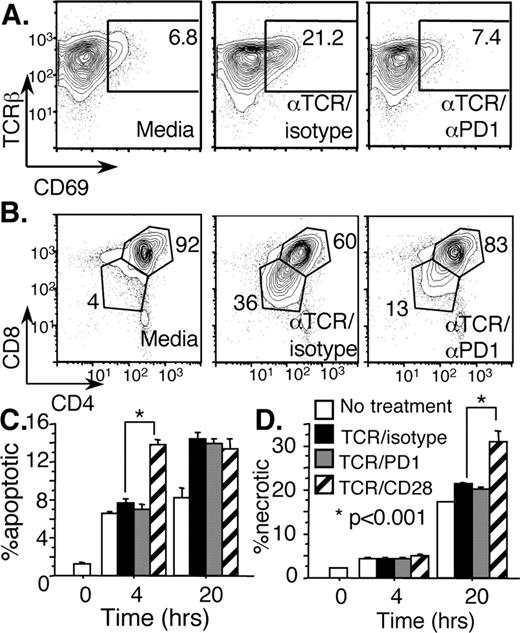 FIGURE 4. Cocross-linking of TCR and PD-1 inhibits TCR-induced CD69 up-regulation and CD4/CD8 coreceptor down-regulation without inducing apoptosis in thymocytes. Immature DP (>98% CD4+CD8+) thymocytes were isolated from WT mice and plated on untreated or Ab-coated plates, as indicated. After culture, thymocytes were stained for CD4, CD8, CD69, and TCRβ or annexin and analyzed by flow cytometry. A, Developing thymocytes up-regulate CD69 after culture on anti-TCR-coated plates, but coligation with anti-PD-1 and anti-TCR mAb inhibits CD69 up-regulation. B, Immature DP thymocytes down-regulate CD4 and CD8 after TCR stimulation. CD4 and CD8 down-regulation is inhibited by coligation with anti-PD-1 mAb treatment (50 μg/ml). C, Cross-linking of TCR and PD-1 does not increase apoptosis in immature thymocytes. Immature DP thymocytes were plated on Ab-coated plates, as indicated, and analyzed for apoptosis by flow cytometry (apoptotic cells were defined as annexin+7-aminoactinomycin D−) after 4 or 20 h. There was no increase in annexin staining on anti-TCR-treated thymocytes cotreated with anti-PD-1 mAb, while thymocytes treated with anti-TCR and -CD28 mAbs showed a significant increase in apoptosis at 4 h. D, Cross-linking of TCR and PD-1 does not increase the accumulation of necrotic thymocytes. Thymocytes treated with anti-TCR and anti-CD28 mAbs showed significant increases in necrotic cells at 20 h. Immature DP thymocytes were treated as in C, and necrotic cells were defined as annexin+7-aminoactinomycin D+ cells. Data are representative of three independent experiments.