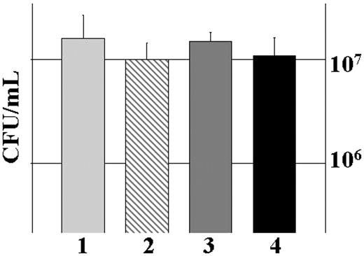 FIGURE 2. Wild-type PA01 biofilm bacteria are not killed by human leukocytes, even in the presence of IFN-γ. Graphic representation of CFU/ml wild-type PA01 biofilm bacteria after treatment with medium control (LB, column 1), HBSS plus 50% autologous plasma (column 2), leukocytes in HBSS containing 50% autologous plasma (column 3), and leukocytes in HBSS containing 50% autologous plasma plus IFN-γ (column 4). The differences in CFU/ml were not significant when compared with the LB medium control. Data are representative of three separate experiments with various blood donors.