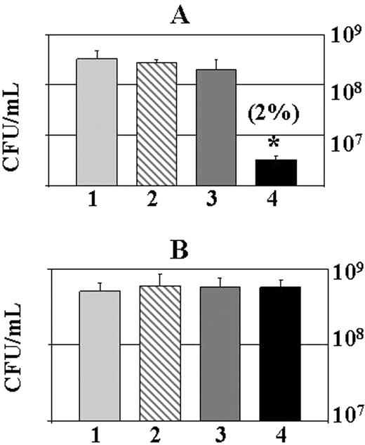 FIGURE 3. The lack of alginate in a mucoid, clinical isolate (FRD1algD−) of P. aeruginosa renders biofilm bacteria susceptible to human leukocyte killing. A, Graphic representation of CFU/ml FRD1algD− biofilm bacteria after treatment with medium control (LB, column 1), HBSS plus 50% autologous plasma (column 2), leukocytes in HBSS containing 50% autologous plasma (column 3), and leukocytes in HBSS containing 50% autologous plasma plus IFN-γ (column 4). B, The same experiment performed with the wild-type parental strain FRD1. Percent survival is listed in parentheses above the appropriate treatment. ∗, p < 0.01 for column 4 vs LB treatment in A. Data are representative of three separate experiments with various blood donors.
