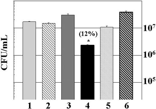 FIGURE 5. Human mononuclear cells are the primary leukocyte subset responsible for killing of the algD− biofilm bacteria. Graphic representation of CFU/ml algD− biofilm bacteria after treatment with medium control (LB, column 1), HBSS plus 50% pooled human serum (column 2), mononuclear cell fraction (lymphocytes and monocytes, column 3, without IFN-γ; column 4, with IFN-γ) and neutrophils (column 5, without IFN-γ; column 6, with IFN-γ). Percent survival (in parentheses) with the mononuclear cell fraction, in the presence of IFN-γ, was ∼12% after 4 h. ∗, p < 0.01 for column 4 vs control LB treatment (column 1). Data are representative of three separate experiments with various blood donors.