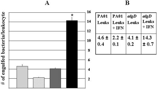 FIGURE 7. Phagocytosis of algD− biofilm bacteria was markedly enhanced vs the wild-type PA01 strain. A, Graphic representation of the number of engulfed biofilm bacteria per treatment ± SEM from three separate blind counts. Column 1, PA01 plus leukocytes in HBSS containing 50% autologous plasma; column 2, PA01 plus leukocytes in HBSS containing 50% autologous plasma plus IFN-γ; column 3, PA01algD− plus leukocytes in HBSS containing 50% autologous plasma; and column 4, PA01algD− plus leukocytes in HBSS containing 50% autologous plasma plus IFN-γ. The numerical values are listed to the right of the graph (B) and represent the average number of engulfed bacteria ± SEM. When compared with the rest of the treatments, there was a statistically significant increase in phagocytosis of algD− bacteria in the presence of leukocytes plus IFN-γ (p < 0.001). Data are representative of three separate experiments with various blood donors.