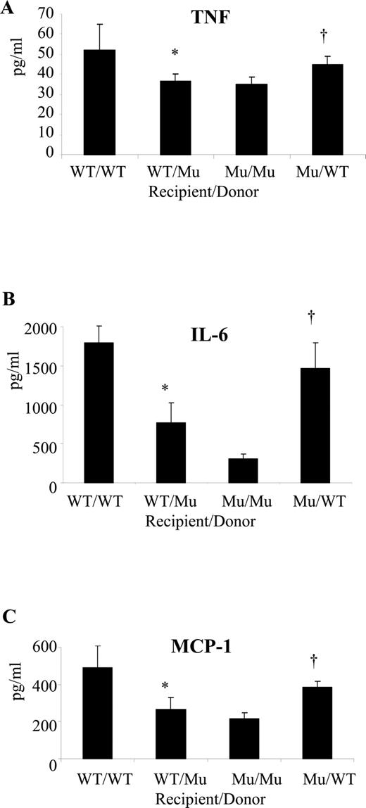 FIGURE 6. Cirulating inflammatory mediator production dependent on functional TLR4 on NPC. Serum TNF-α (A), IL-6 (B), and MCP-1 (C) levels were measured following ischemia and 6 h of reperfusion in TLR4 chimeric mice. Data represent mean ± SE (n = 6 mice per group). ∗, p < 0.05 vs WT/WT chimeric mice; †, p < 0.05 vs Mutant/Mutant chimeric mice.