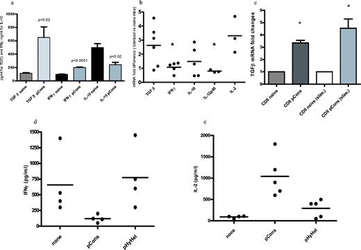 FIGURE 4. Cytokine characteristics of CD8 Ti cells. Purified CD8+ T cells from mice treated or not with pCons 1 wk earlier. Cytokines secreted after 48 h of culture were measured by standard ELISA or mRNA measurement by RT-PCR. Data are expressed as fold differences of mRNA from pCons-tolerized mice compared with naive mice; data are normalized to GAPDH and the ratio of cytokine to GAPDH is set at 1.0 for the naive mice. a, Mean quantities of cytokines secreted by naive vs tolerized CD8+ T cells. Cultures containing naive CD8+ T cells are represented by black bars: cultures containing CD8+ T cells from tolerized mice are represented by gray bars. SD are indicated by vertical lines on each bar. Each experiment is from three to seven pools studied. TGFβ1 secretion was significantly increased in the tCD8; IFN-γ was significantly increased in tCD8, and IL-10 secretion was significantly decreased compared with nCD8; p values are shown in the graphic. b, Quantity of mRNA encoding different cytokines was measured in freshly obtained CD8+ T cells. Each column represents a cytokine; each dot represents an experiment from a single pool of CD8+ T cells from tolerized mice; horizontal lines indicate the mean of each column. As indicated by the asterisks, comparisons of pairs of columns shows that TGFβ and IL-2 message are significantly higher than message for IFN-γ (p < 0.04 for TGFβ, p < 0.009 for IL-2) or IL-12p40 (p < 0.04 and p < 0.03, respectively). c, Increase in mRNA for TGFβ. Columns containing CD8+ Ti cells from tolerized mice are in gray. Means ± SD from two experiments are shown. The 3-fold change in mRNA for tCD8 that are not stimulated after selection (column 2) increases after incubation with anti-CD3 mAb (fixed) plus anti-CD28 mAb (column 4). As indicated by the asterisks, message for TGFβ from tolerized CD8+ T cells was significantly higher than from naive CD8+ T cells, p < 0.05 for both comparisons by Tukey’s test. d, Effect of addition of fresh CD8+ T cells to 48-h cultures containing CD4+ T cells plus B cells on IFN-γ secretion. Mice were inoculated with pCons and CD8+ T cells obtained 1 wk later. If no peptides were added to the culture, or if the control peptide HyHel was added, the cultures secreted a mean of 600–800 pg/ml IFN-γ. In contrast, if pCons was added to the culture, CD8+ Ti cells were activated and a significant decrease in IFN-γ production was observed (p < 0.02 compared with both other groups by Kruskal-Wallis analysis of three groups). e, Experimental design as in d. The cytokine measured in culture supernatants is IL-2. In this case, activation of CD8+ T by addition of pCons increased IL-2 production significantly compared with the other groups, p < 0.01 by Tukey’s test.