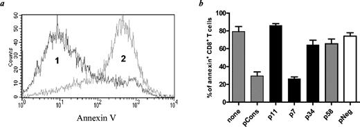 FIGURE 7. CD8+ T cells from mice tolerized with pCons or p7 are relatively protected from apoptosis compared with cells from mice treated with other Ig VH peptides. Apoptosis was measured as cell surface staining for annexin V. Whole spleen cells were obtained from mice 1 wk after injection of 1 mg of the peptides indicated. The cells were maintained in medium at room temperature for 6–8 h, then stained for annexin V and 7-aminoactinomycin D and analyzed by FACS for costaining with CD8. a, Annexin V staining of CD8+ T cells from mice receiving pCons (1 ) compared with naive mice (2 ). Data shown are representative of six experiments with similar results. b, Apoptosis in CD8+ T cells after administration of several different VH peptides. Results are presented as mean percentage of CD8+ T cells staining for annexin V (±SD) in two to seven experiments with each peptide. Note that the injection of peptides known to activate CD8+ T cells to suppress anti-DNA production (pCons and p7, columns 2 and 4, respectively), induces CD8+ T cells with significantly lower proportions undergoing apoptosis. Compared with naive cells (column 1), percent of cells staining for annexin V is significantly lower in mice treated with pCons (p < 0.001 by Tukey’s test) or with p7 (p < 0.001). pCons is also significantly lower than p11, p34, p58, and pNeg (p < 0.05 or better). p7 is significantly lower than p11 and pNeg (p < 0.05 or better).