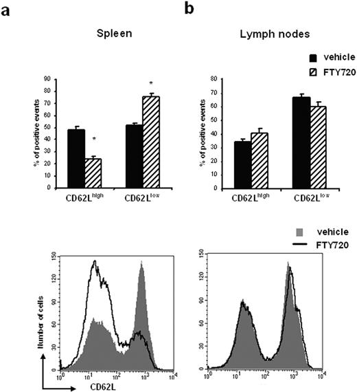 图2。FTY720不同影响归航的CD4 + CD25 + T细胞/ CD62Llow脾脏和淋巴结。C57BL / 6小鼠接受FTY720或车辆如图1所述。从脾脏CD4 +细胞被孤立淋巴结(a)和(b)和分析的表达CD25和CD62L流式细胞术。c,代表直方图的细胞分离车辆或FTY720-treated小鼠的脾脏和淋巴结的变化比CD62L FTY720治疗后低/高细胞。数据意味着±SEM, n =每组8只老鼠;∗,p < 0.05。