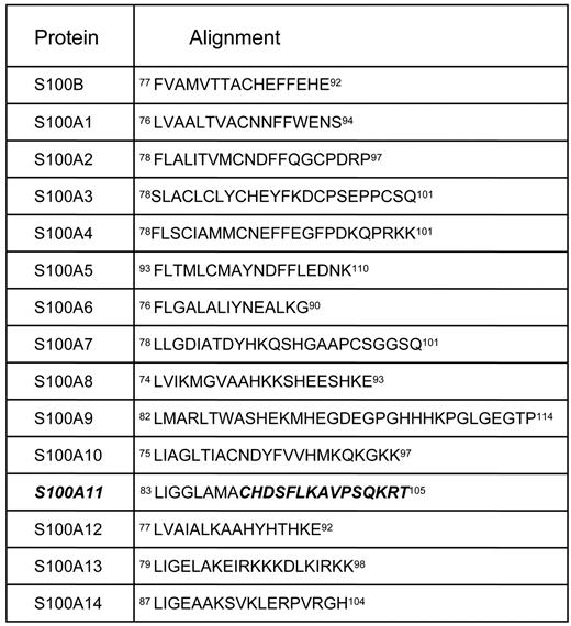 Comparison of the aligned C-terminal amino acid sequences of S100A11 and 14 other S100/calgranulinsa