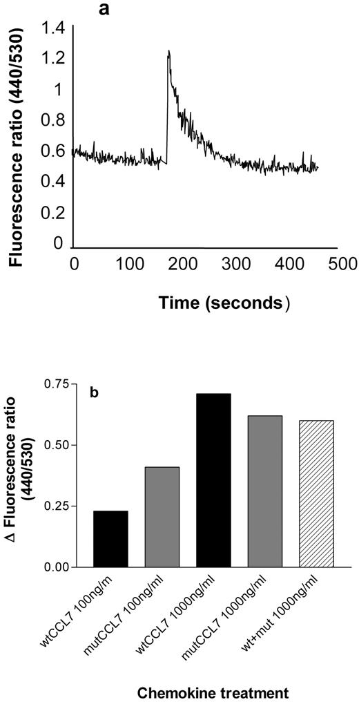FIGURE 2. Calcium flux results. a, Representative changes in the intracellular Ca2+ concentration immediately after stimulation of PBMC with CCL7 (1000 ng/ml). b, Dose response analysis showing changes in the maximal change in intracellular Ca2+ concentration measured in PBMC following stimulation with either wt or mutant CCL7. The mean values are plotted as a ratio of the fluorescence emission at 440/530 nm; the data are from one of three separate experiments.
