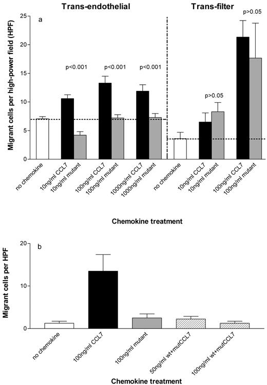 FIGURE 3. In vitro chemotaxis experiments. a, Measurement of mononuclear cell migration across cytokine-activated endothelial cell monolayers grown on filters (transendothelial) or across filters (trans-filter). Human THP-1 monocytes were stimulated with varying concentrations of chemokines at 37°C for 90 min in the case of trans-filter assays or for 2 h in the case of transendothelial assays. Similar results were observed using human PBMC. b, Examination of monocyte migration across resting endothelial cells in response to wt CCL7, mutant CCL7, and a mixture of both sequences. All assays were performed in triplicate and the number of migrant cells per high power field (×400) was counted for each membrane; data is presented as mean ± SEM.