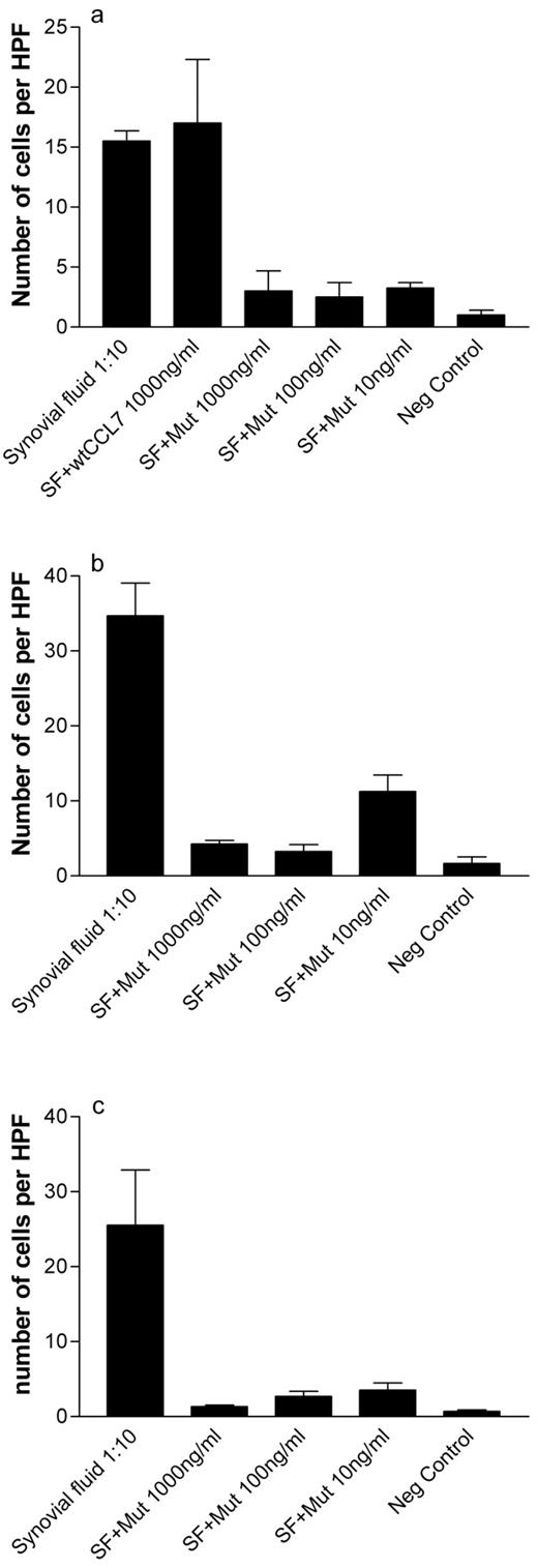 FIGURE 6. Inhibition of the chemotactic response of mononuclear cells toward synovial fluid from three patients with active rheumatoid arthritis. The transendothelial migration of PBMC (a) or THP-1 monocytes (b and c) toward synovial fluid (1/10 dilution) was measured in the presence 10, 100, and 1000 ng/ml non-GAG-binding mutant CCL7. Each graph shows data using synovial fluid from a separate patient (a–c). Data in a demonstrate that addition of wt CCL7 did not alter migration toward the synovial fluid. All bars show the mean number of migrant cells per field ± SEM.