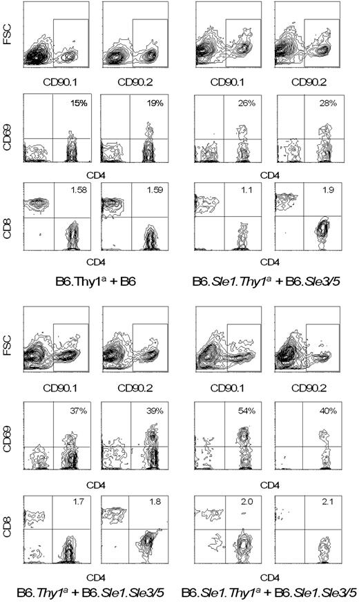 FIGURE 3. Representative allele-specific flow cytometry contour plots of mixed chimeras showed that the presence of Sle3/5 could cause an increase in CD4:CD8 ratio and an increase in expression of the activation marker CD69 by T cells of non-Sle3/5 donor origin. Spleen cells were stained with combinations of either anti-CD90.1 or anti-CD90.2 along with Abs to CD4, CD8, and CD69. Following gating on CD90+ events, contour plots are shown for CD4 vs CD8 and CD4 vs CD69. For the CD4 vs CD69 plots, values shown in the top right quadrant are the percentage of gated cells. For CD4 vs CD8 plots, this value is the CD4:CD8 ratio.