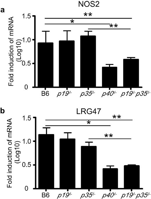 FIGURE 6. C57BL/6 and gene-deficient mice were infected as described in Fig. 5, and lung tissue was harvested and processed to extract RNA. The presence of specific mRNA was determined by real-time PCR, and the log10 fold increase in mRNA was determined for four infected mice vs four noninfected mice. The data points represent the mean and SD for four mice. ∗, p ≤ 0.05; ∗∗, p ≤ 0.005 (by Student’s t test).