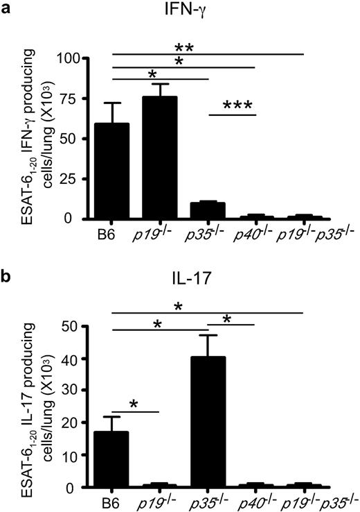 FIGURE 7. C57BL/6 and gene-deficient mice were infected as described in Fig. 5, and the lymphocytes were isolated from the lung. Cells were cultured with irradiated feeder cells and Mtb ESAT1–20 peptide for 24 h, and the numbers of IFN-γ-producing cells (a) and IL-17-producing cells (b) were determined by ELISPOT. The data points represent the mean and SD for four animals. ∗, p ≤ 0.05; ∗∗, p ≤ 0.005; ∗∗∗, p ≤ 0.0005 (by Student’s t test).