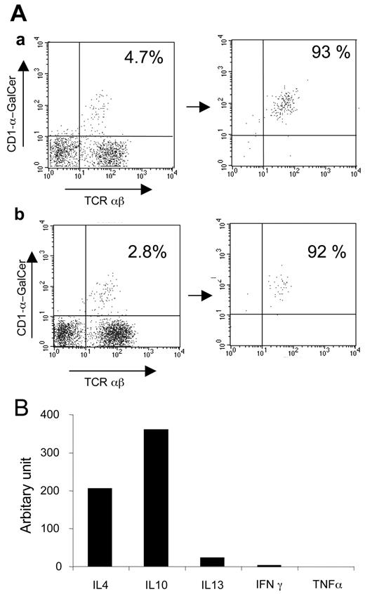 FIGURE 4. NKT cells produce Th2 cytokine after α-GalCer administration and T. gondii infection. A, NKT cell populations were isolated from the lamina propria of mice treated (a) or not treated (b; two mice per group) with α-GalCer on day 8 after infection. The cells were then purified on the basis of CD1d/α-GalCer tetramer staining using anti-allophycocyanin magnetic beads. The purity of sorted cells was confirmed by FACS analysis. This experiment was repeated twice. B, Purified NKT cells were analyzed for mRNA expression of Th1 and Th2 cytokines by real-time RT-PCR. Results are expressed as the relative increase in the cytokines in NKT cells from treated mice compared with the untreated NKT cells after normalization with the housekeeping gene. Results are representative of two independent experiments.